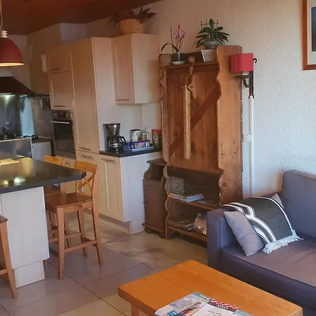 Appartement Entier, 1 Chambre, Plein Sud, Pied Des Pistes, 1650 *