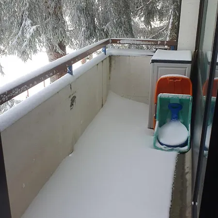 Entier, 1 Chambre, Plein Sud, Pied Des Pistes, 1650 Appartement Chamrousse
